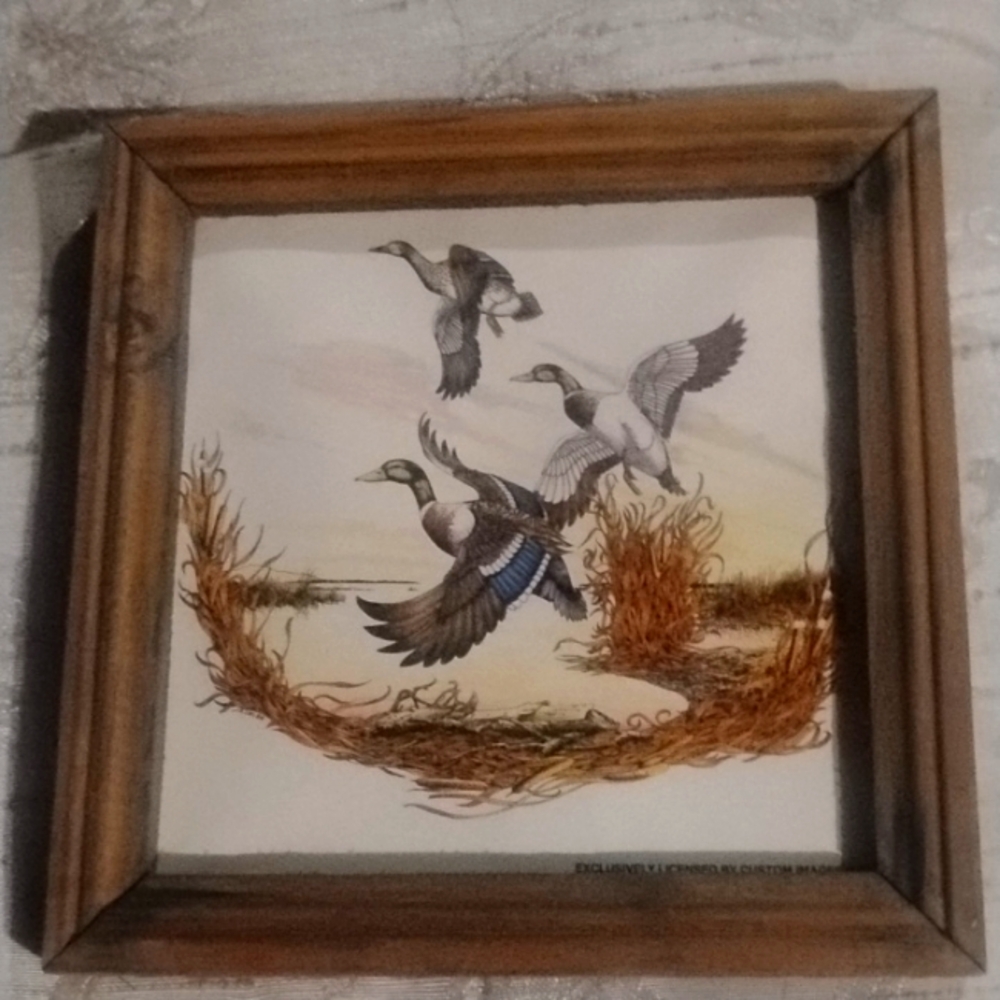 NRA duck wall photos